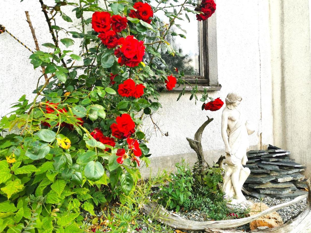 Ferienwohnung Am Bergmannsbrunnen Schönheide Exterior foto